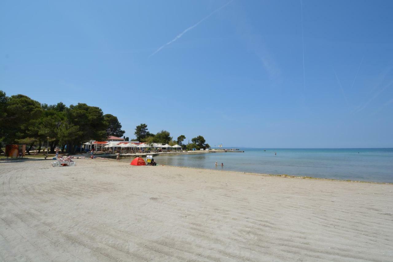 Aleja * Zadar